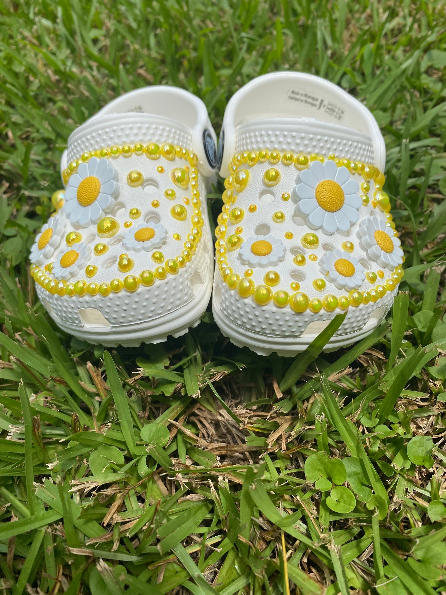 White Daisies